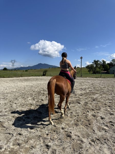 Les Ecuries de l’Aube - photo 2