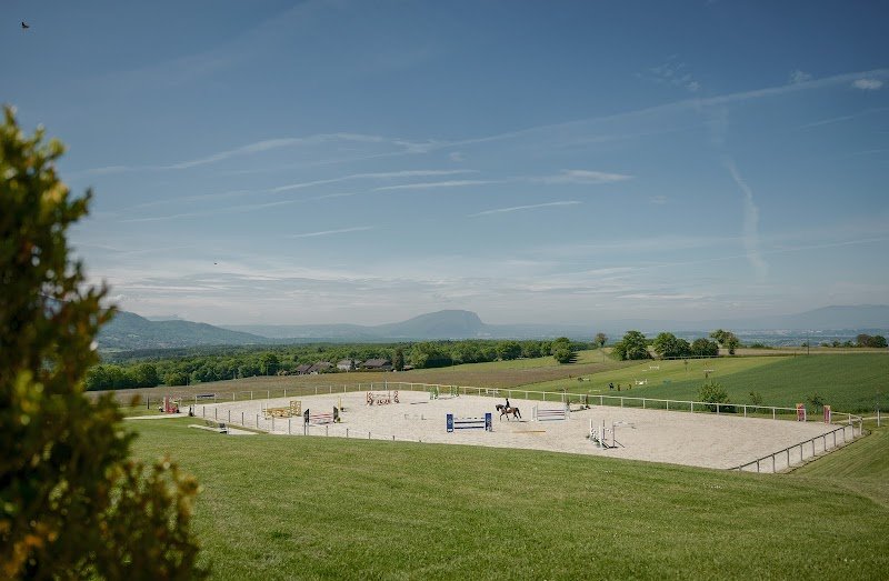 Ecuries Nicolas Tayol - photo 1