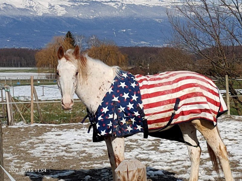 Ecurie De La Sablonnière - photo 3