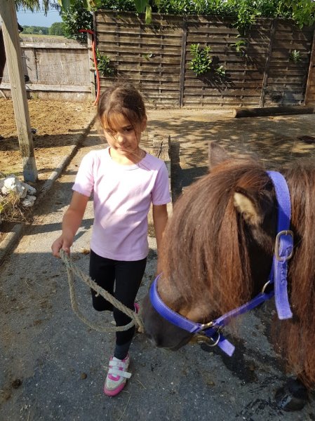 Ecurie de Germagny - photo 3