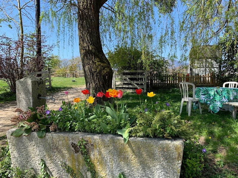 Écurie de la Colombière - photo 1