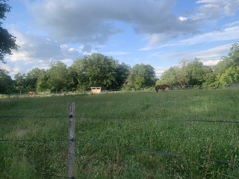 Écurie de la Colombière - photo 2