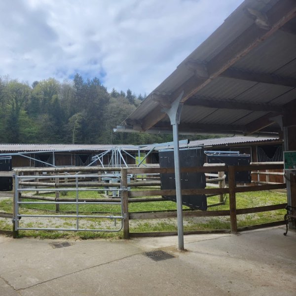 Les Ecuries d'Angeville - photo 1