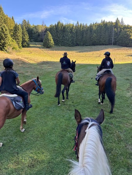 Écurie des Goths - photo 2