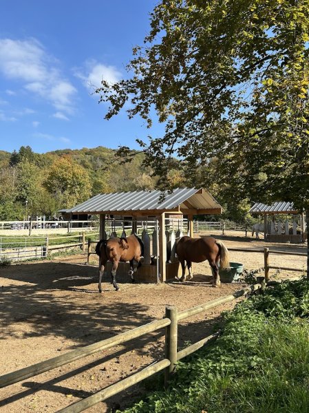 Écurie des Goths - photo 3