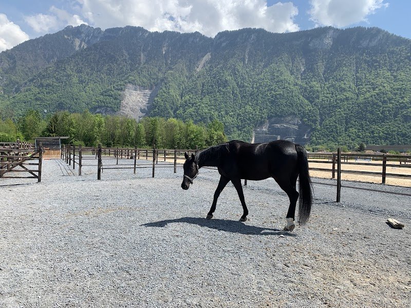 Écuries de la Rossat SA - photo 2