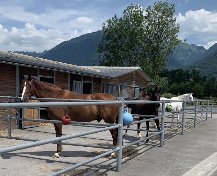 Écuries de la Rossat SA - photo 3