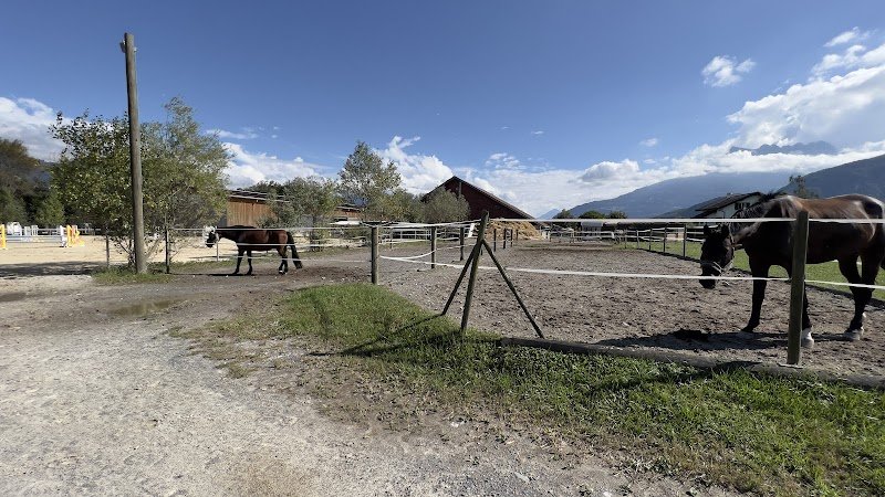 Écurie des Chauderets Sàrl - photo 2