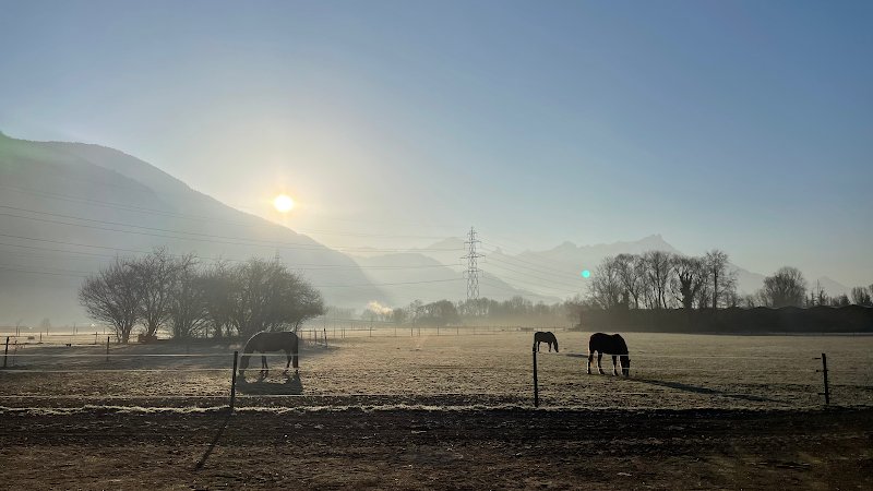 Ecurie du cep - photo 1