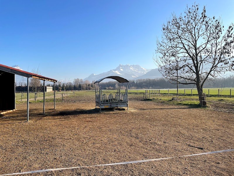 Ecurie du cep - photo 2