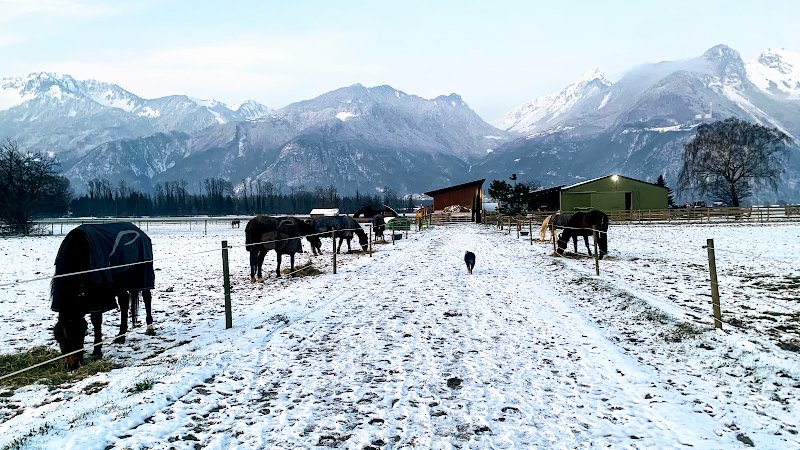 Ecurie du cep - photo 3