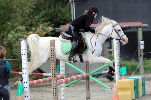 Ecurie d'Allens - photo 3