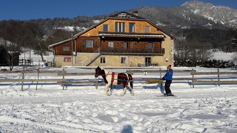 Les Paddocks du Mont Blanc - photo 2