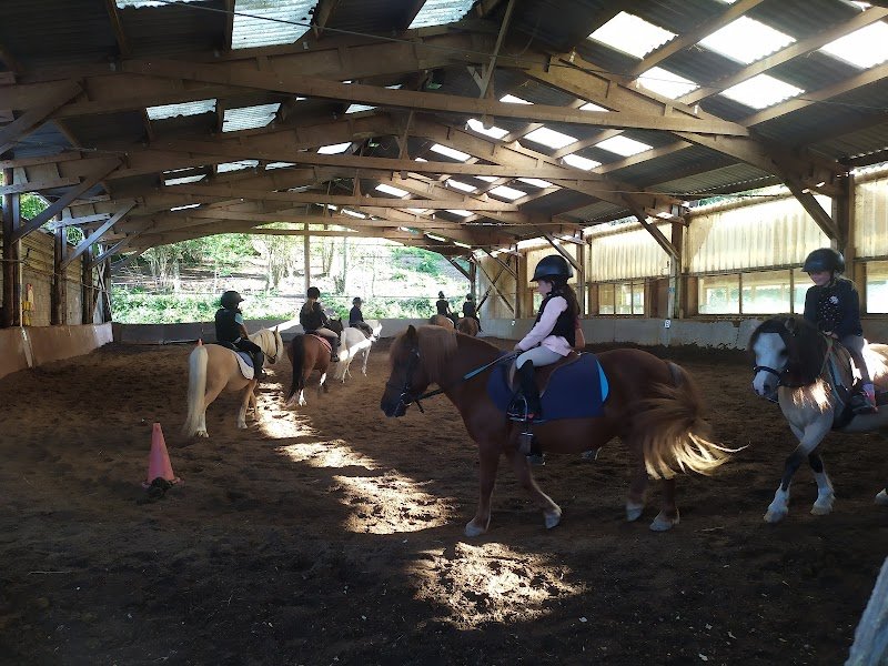 Poney-club de Sciez - photo 1