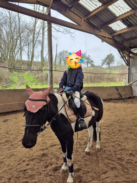 Poney-club de Sciez - photo 3