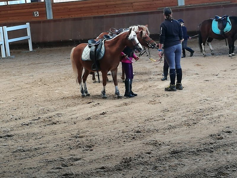 Centre Hippique De Contamine - photo 1