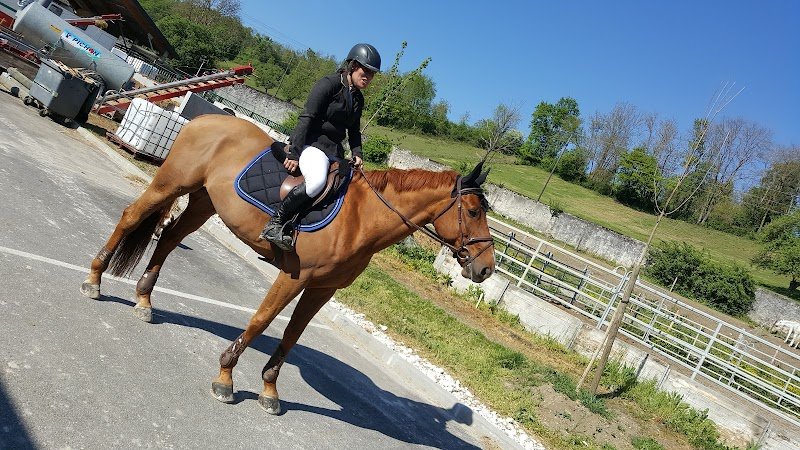 Centre Hippique De Contamine - photo 2