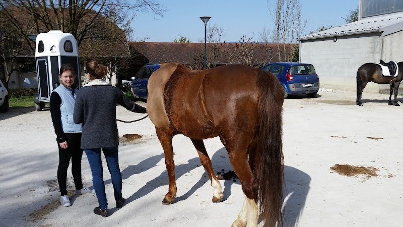 Centre Hippique De Contamine - photo 3