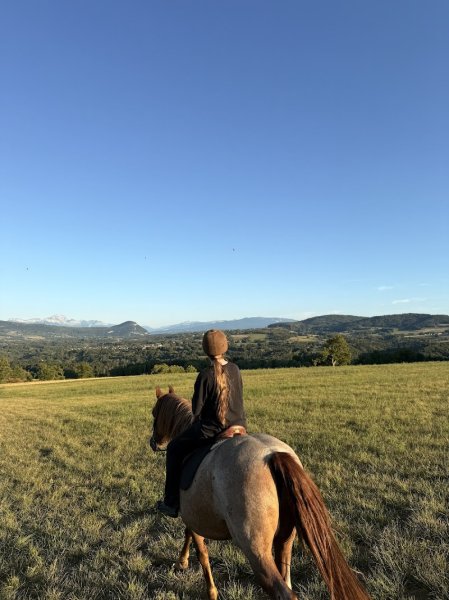 Ecurie des Grands Chemins - photo 1