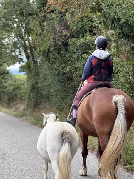 Ecurie des Grands Chemins - photo 2