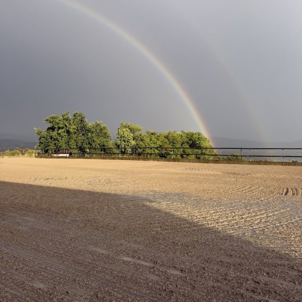 Ecurie des Grands Chemins - photo 3