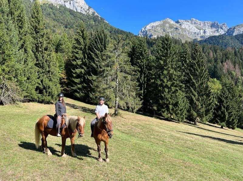 Nature Equestre - photo 1