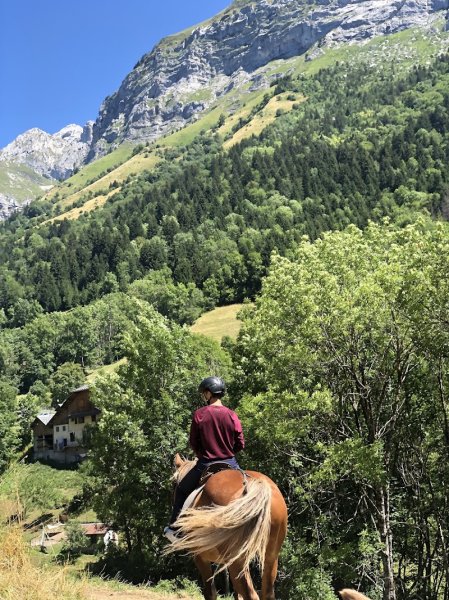 Nature Equestre - photo 2