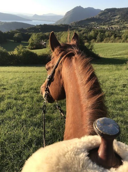 Nature Equestre - photo 3