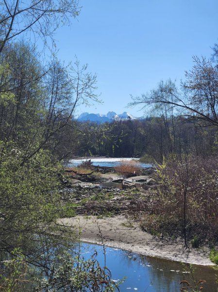 L'Art à Cheval - photo 3