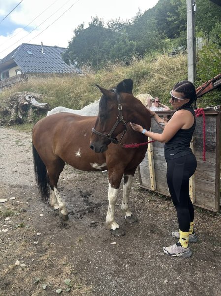 Les chevaux de la diamanterie - photo 3