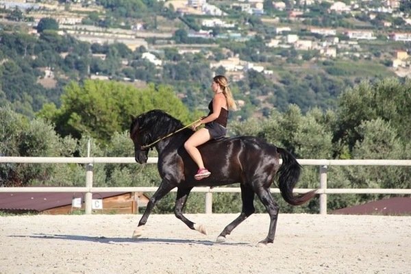 Les Écuries de la Tour - photo 1