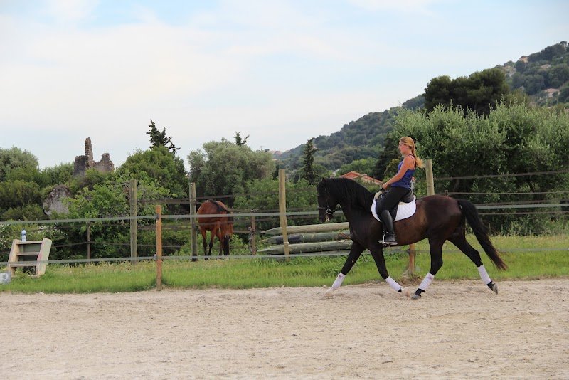 Les Écuries de la Tour - photo 3