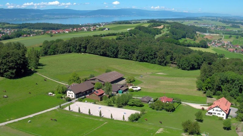 La Molière, Parc chevalin & Guesthouse. Pension pour chevaux, retraite, convalescence et vacance cheval