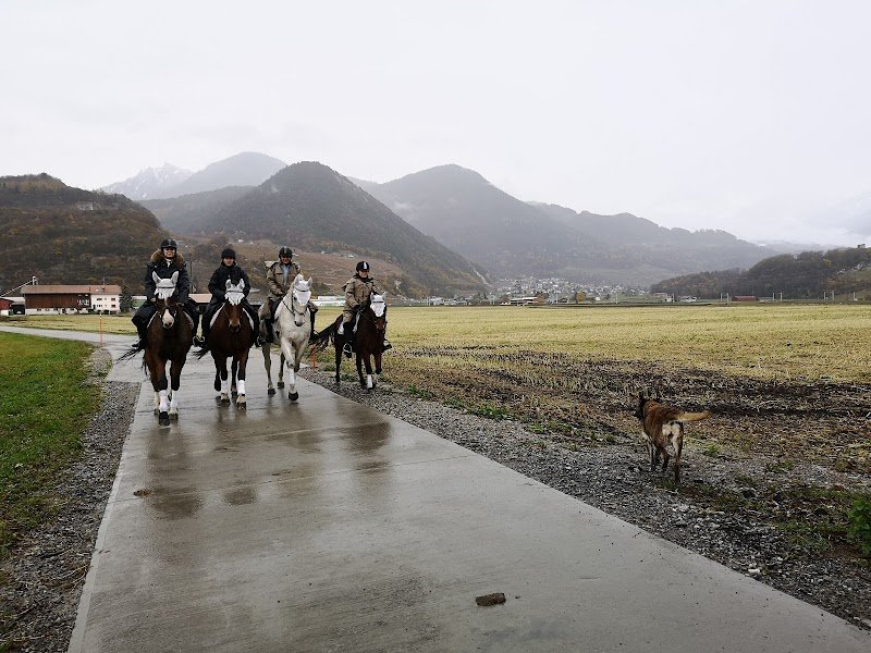 Écurie Du Black Horse - photo 2