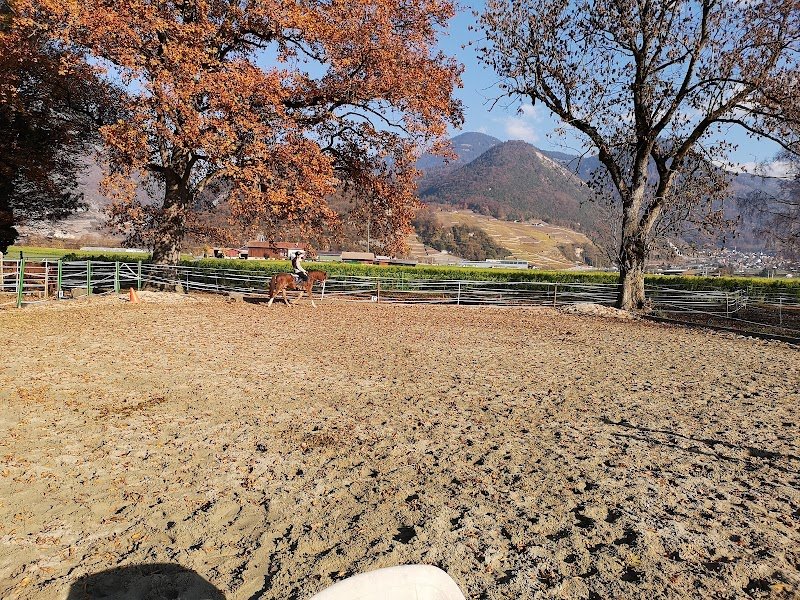 Écurie Du Black Horse - photo 3