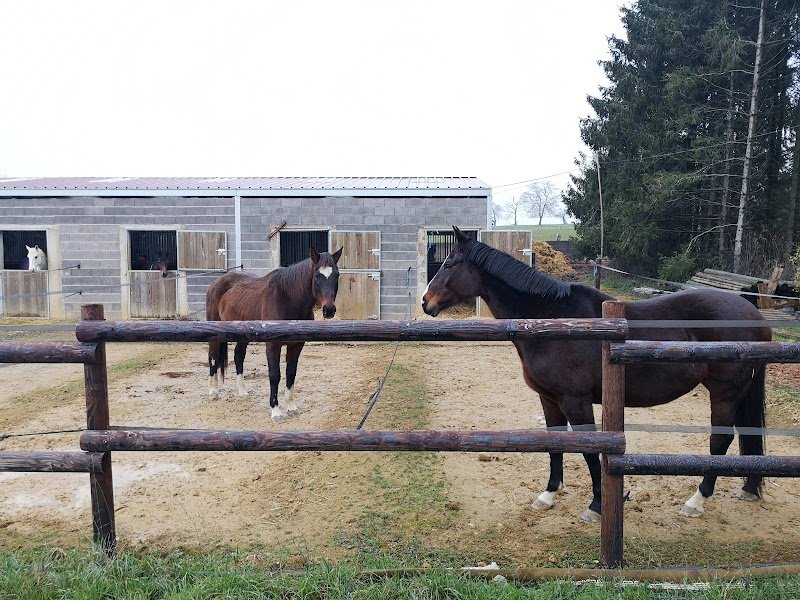 Ecurie Clairefontaine, ferme de Leipzig