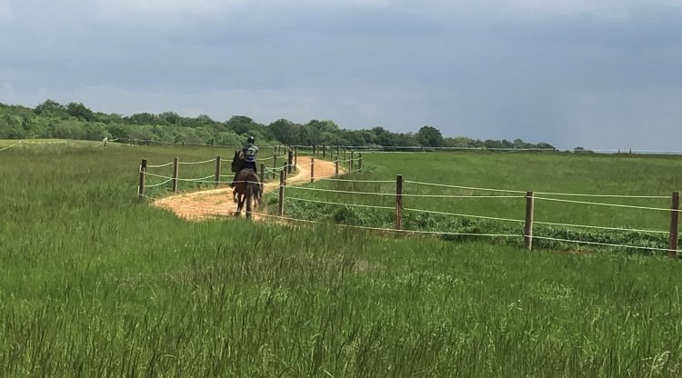 Ecurie Clairefontaine, ferme de Leipzig - photo 2