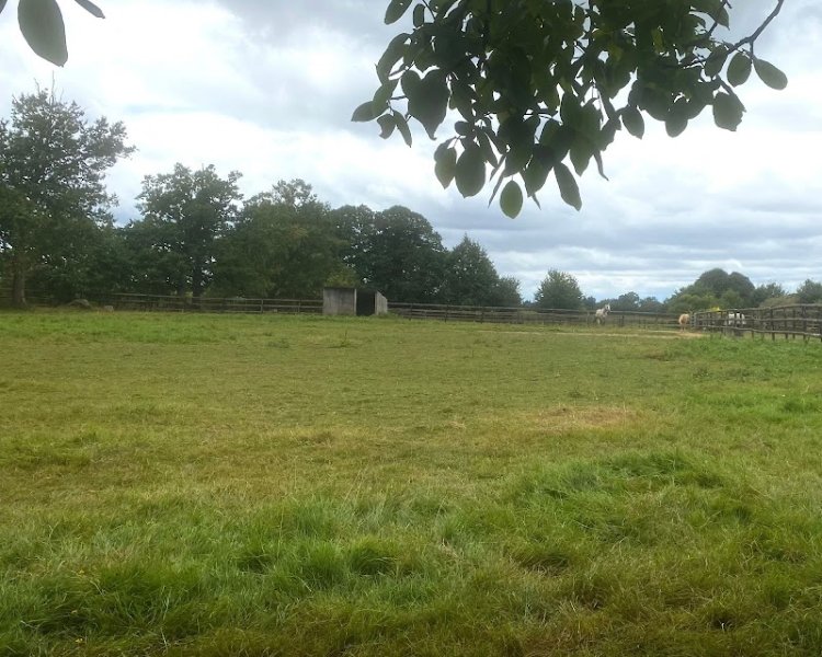 Écurie Alexandre Sébert - photo 2