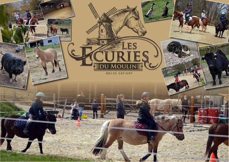 Les Écuries Du Moulin de Savigny - photo 1