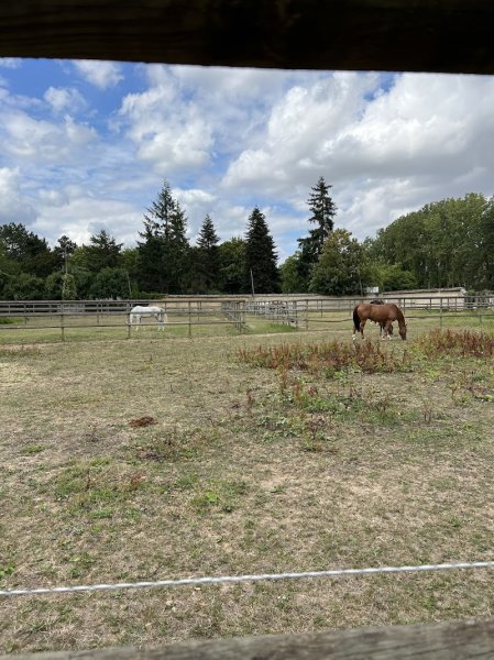 Écuries de la Prévoté - photo 3
