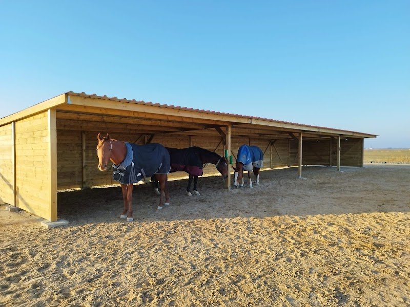 Les écuries Oméga - photo 1