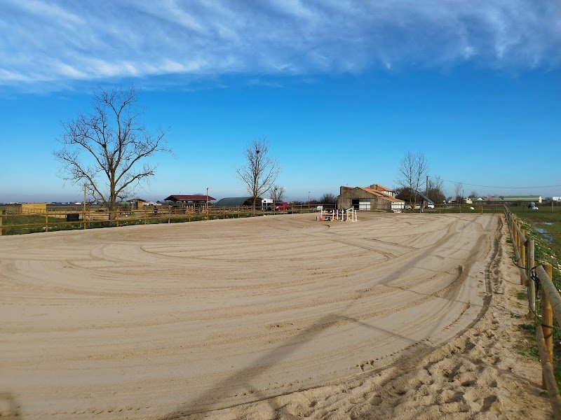 Les écuries Oméga - photo 2