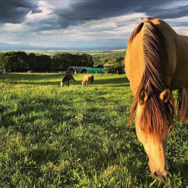 Les Écuries de Jurens - photo 1