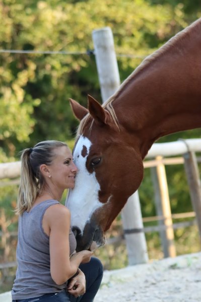 Les Écuries de Biot - photo 3