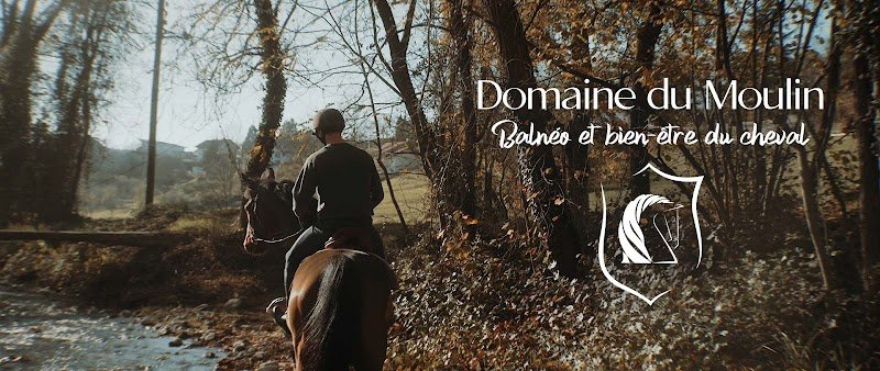 Domaine du Moulin - Centre de balnéo et bien-être pour les chevaux