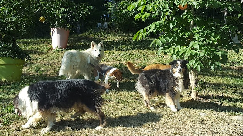 Pension liberté - photo 1