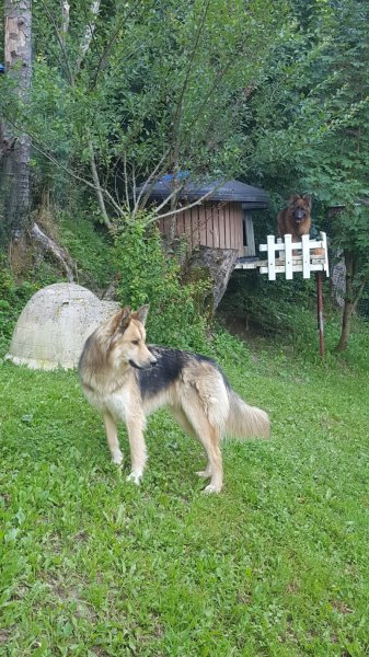 Pension liberté - photo 2