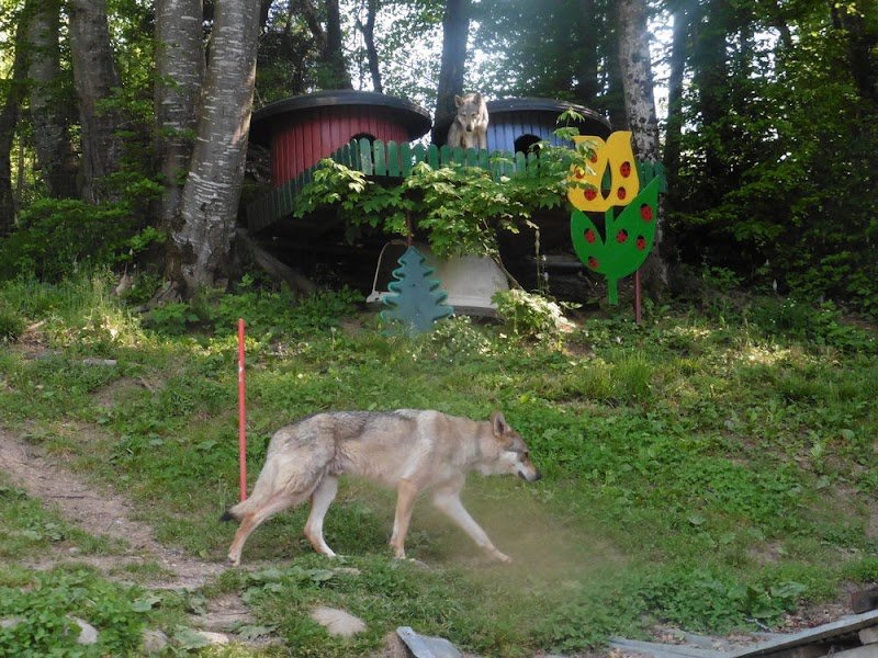 Pension liberté - photo 3