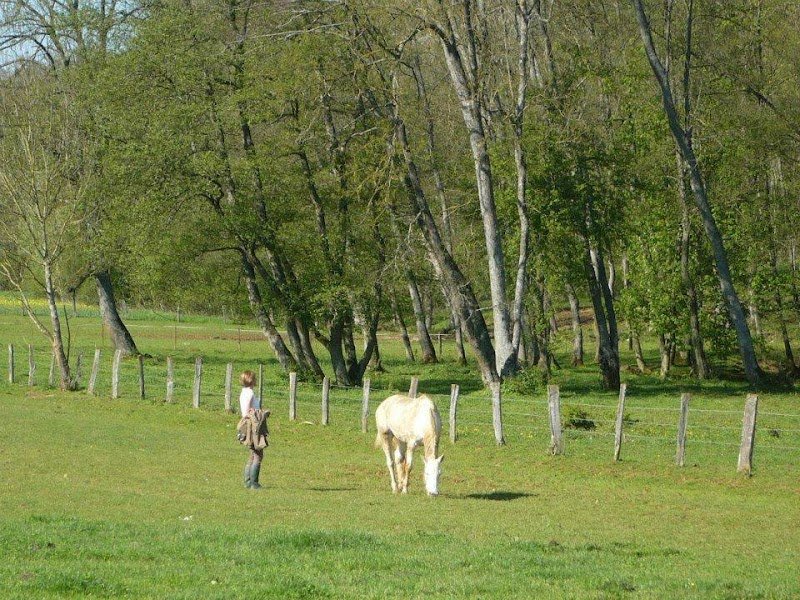 Le Chavenois Pension Chevaux sur pré tout l'année Nancy-Nd