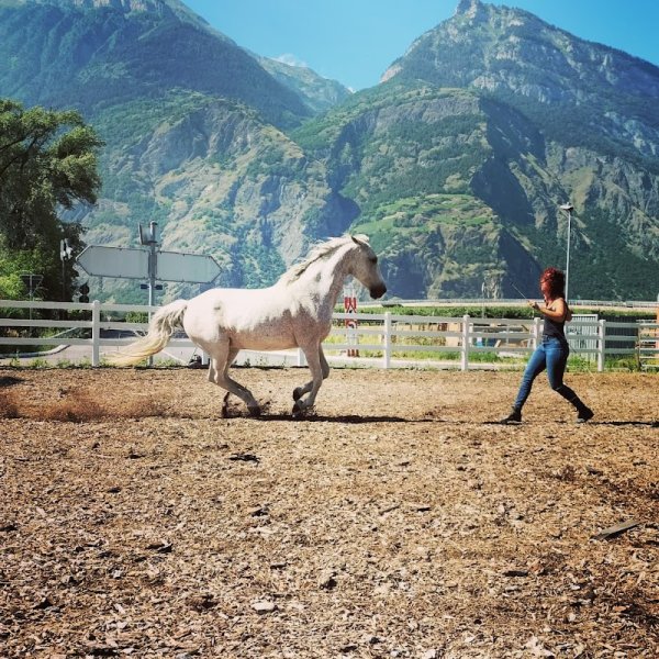 Marine Flipo | Écurie de l' écoute du cheval | Ostéopathe animalier